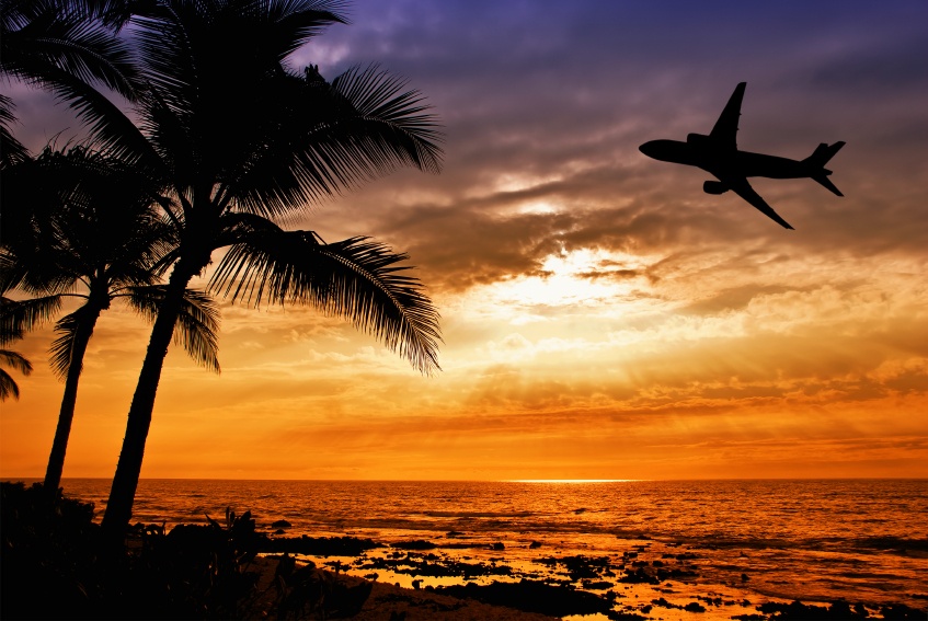 Tropical sunset with palm tree and airplane silhouettes in Hawaii. Travel and vacation concept.