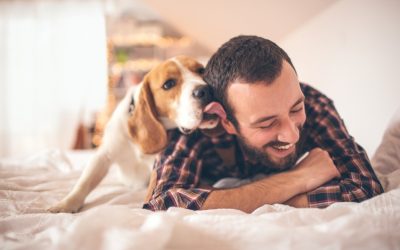 How Man’s Best Friend Can Help You Build Better Relationships